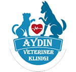 biVet